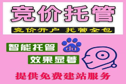 SEM服务托管助力教育行业广告投放优化
